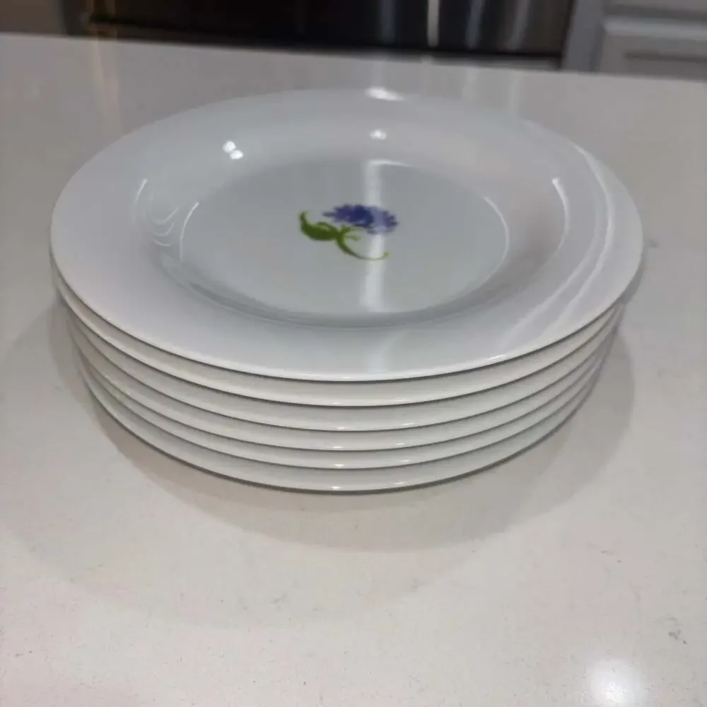 Pottery Barn Bloom Set of 6 Mixed Floral Salad Plates 8.5”